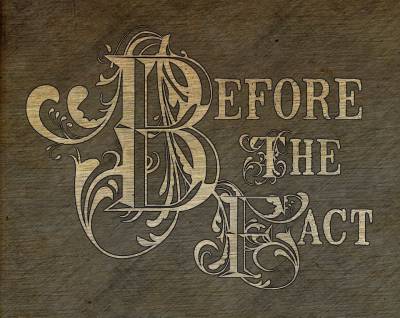 logo Before The Fact